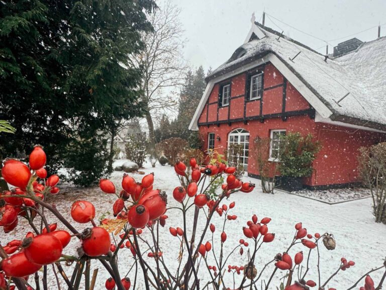 Außenansicht im Winter