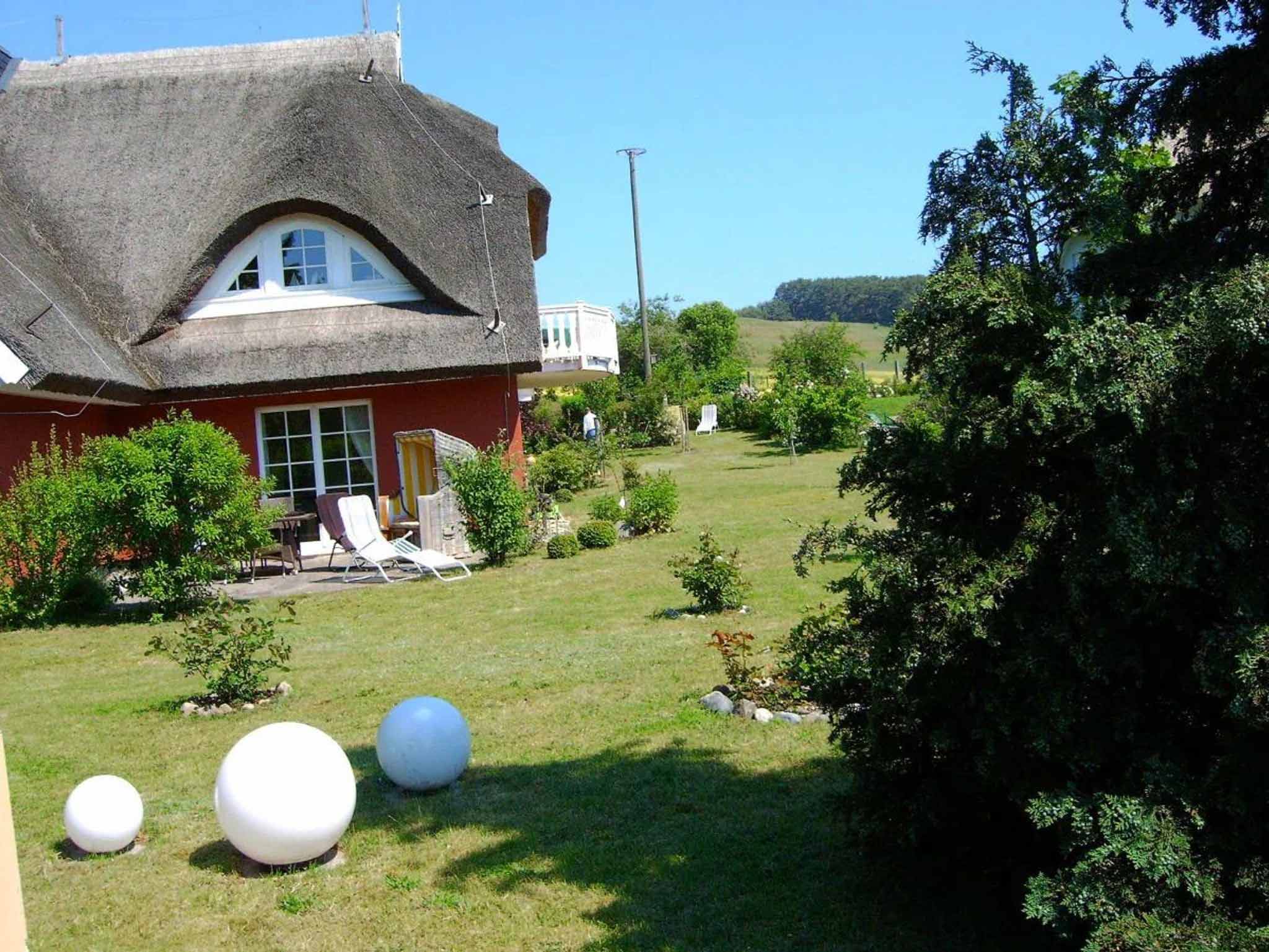 Garten mit Blick auf das Haus